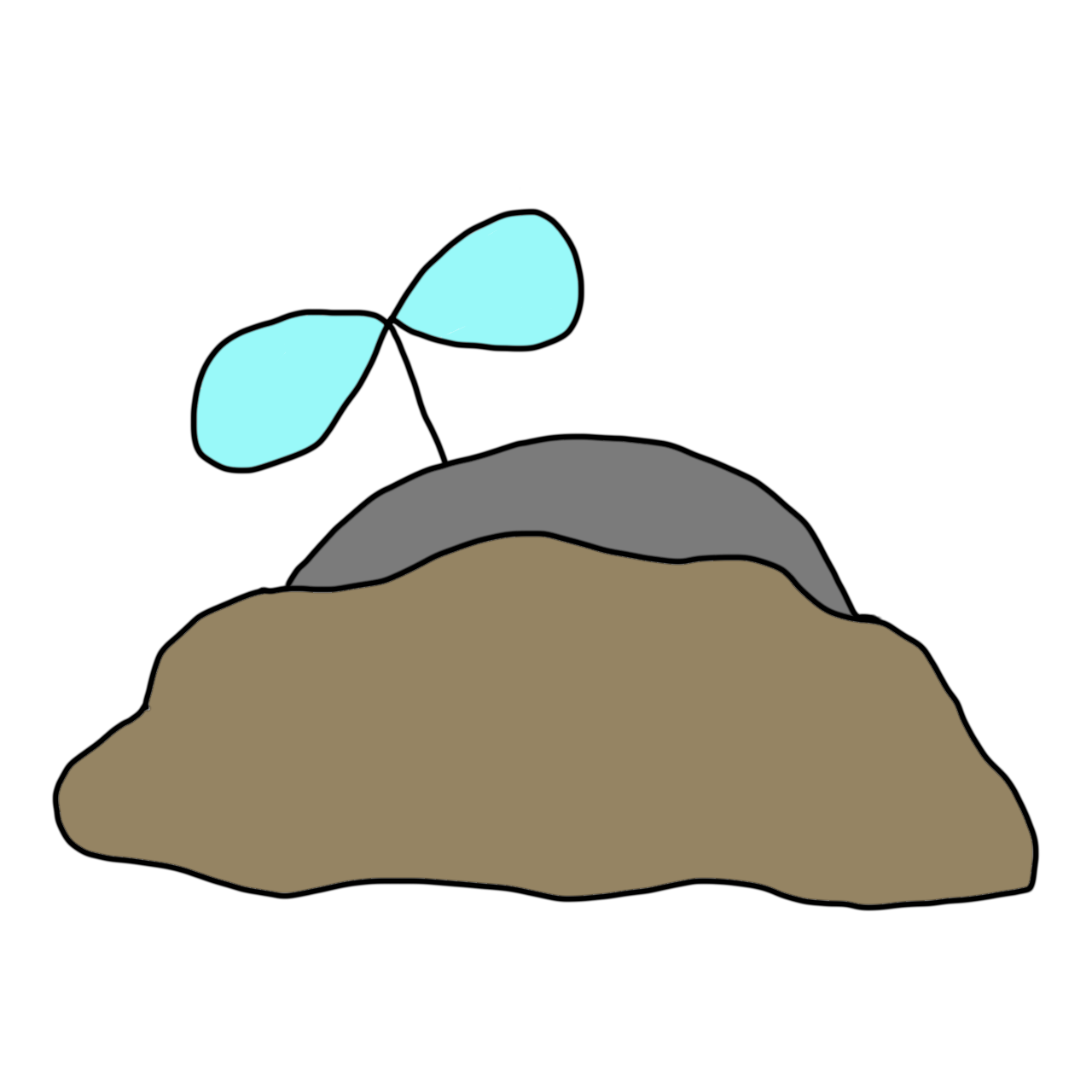 たね2